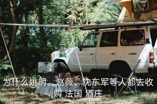 為什么姚明、趙薇、沈東軍等人都去收購 法國 酒莊