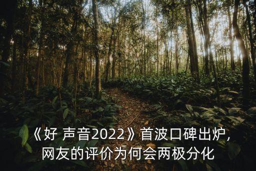 《好 聲音2022》首波口碑出爐,網友的評價為何會兩極分化
