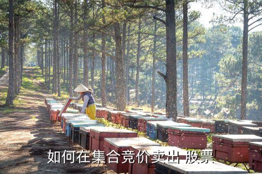 如何在集合競價(jià)賣出 股票