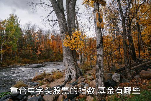 重倉中字頭股票的指數 基金有哪些
