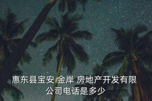 湖南金岸房地產公司周光輝