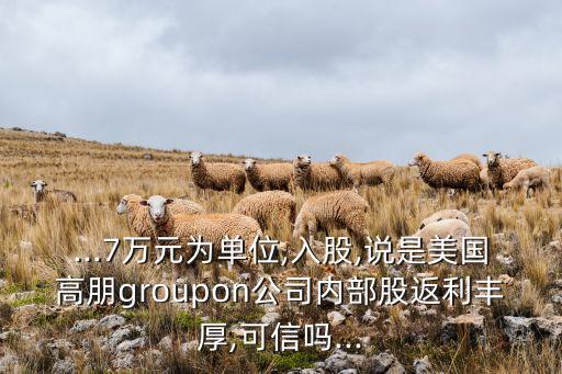 ...7萬(wàn)元為單位,入股,說是美國(guó)高朋groupon公司內(nèi)部股返利豐厚,可信嗎...