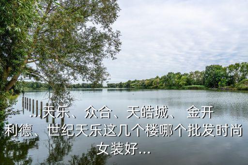 ...天樂、眾合、天皓城、 金開 利德、世紀(jì)天樂這幾個樓哪個批發(fā)時尚女裝好...