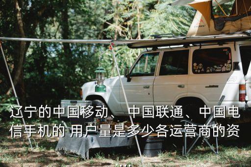 遼寧的中國(guó)移動(dòng)、 中國(guó)聯(lián)通、中國(guó)電信手機(jī)的 用戶量是多少各運(yùn)營(yíng)商的資...