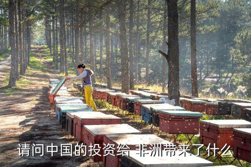 請(qǐng)問中國(guó)的投資給 非洲帶來了什么
