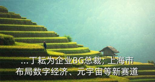 ...丁耘為企業(yè)BG總裁; 上海市布局?jǐn)?shù)字經(jīng)濟(jì)、元宇宙等新賽道