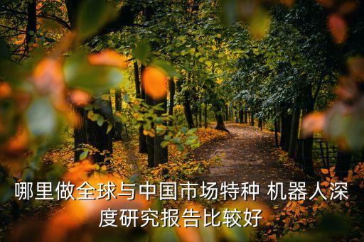 哪里做全球與中國市場特種 機(jī)器人深度研究報告比較好