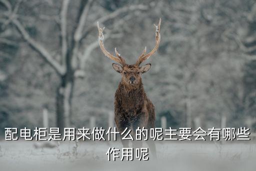 上海華聲電氣集團經(jīng)理