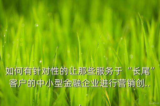 如何有針對(duì)性的讓那些服務(wù)于“長(zhǎng)尾”客戶(hù)的中小型金融企業(yè)進(jìn)行營(yíng)銷(xiāo)創(chuàng)...